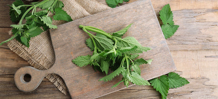 What is lemon balm?