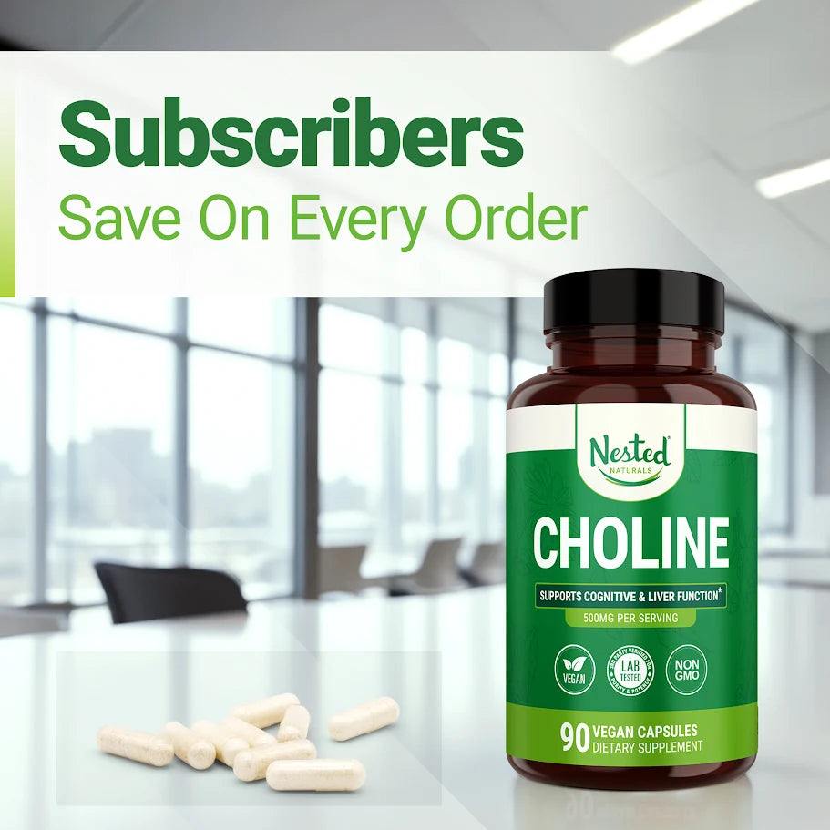 Healthy Brain Bundle